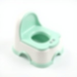 forukids potty chair